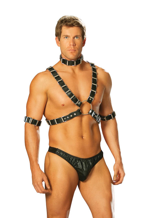 4 Pc Mens Set Harness & Collar